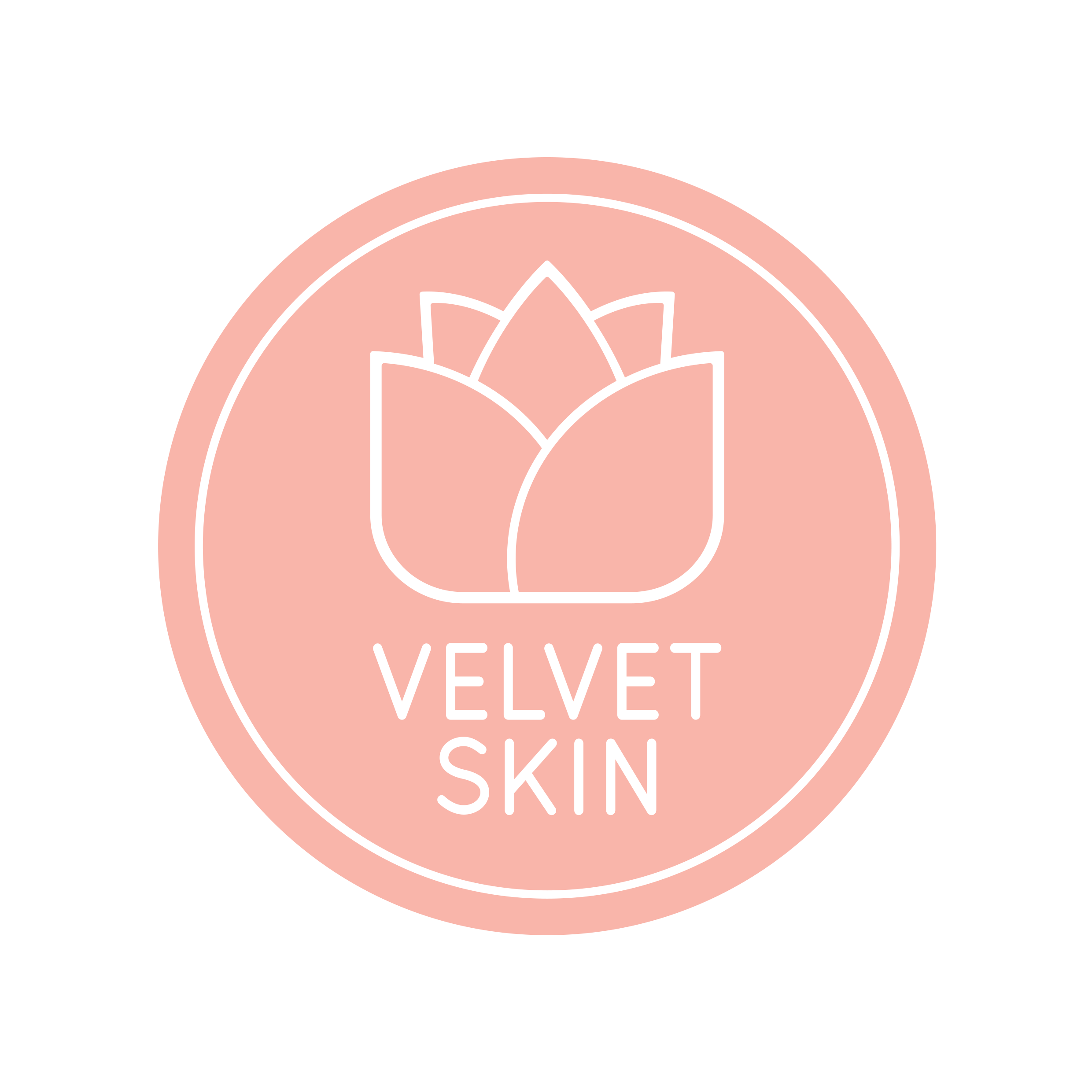 VelvetSkin